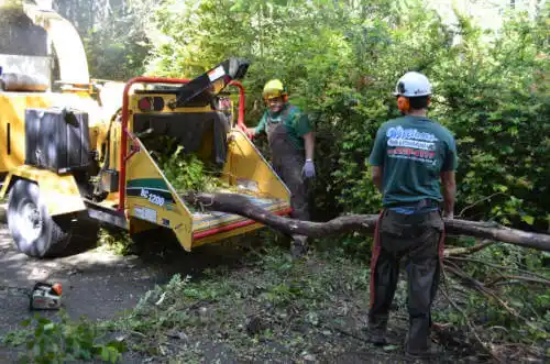 tree services Conning Towers Nautilus Park